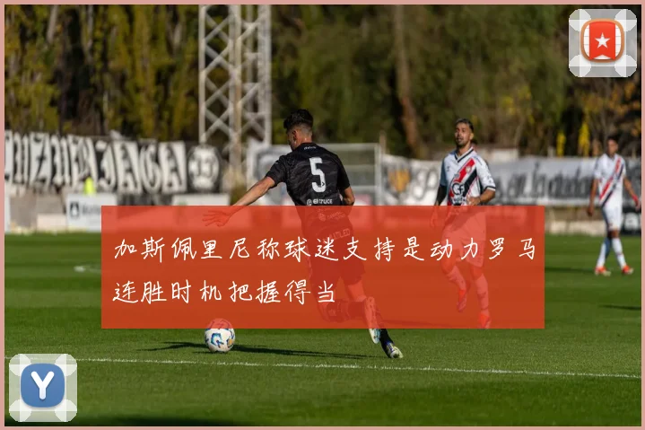 加斯佩里尼称球迷支持是动力罗马连胜时机把握得当