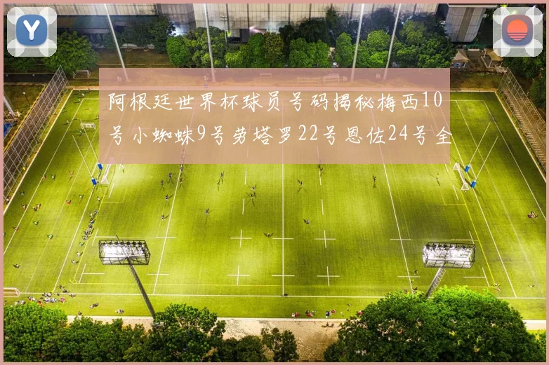 阿根廷世界杯球员号码揭秘梅西10号小蜘蛛9号劳塔罗22号恩佐24号全解析